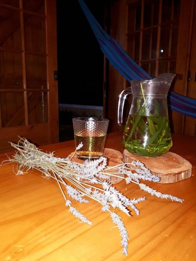 Casa Benedita 蓬塔杜帕戈 外观 照片