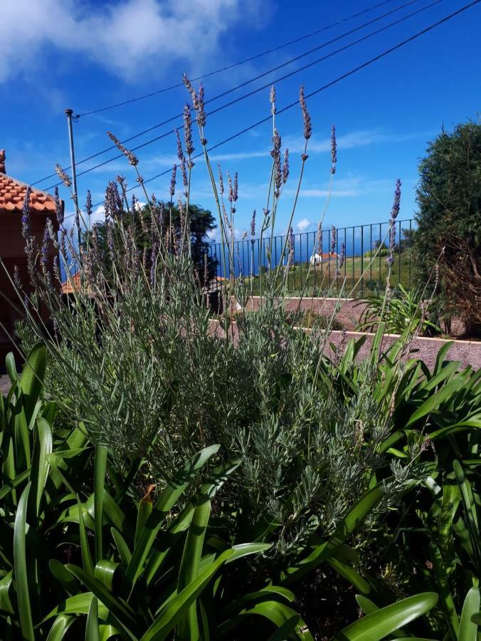 Casa Benedita 蓬塔杜帕戈 外观 照片